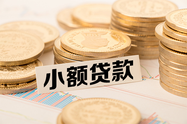 成都双流区小额贷款当天放款-成都双流区哪里可以信用贷款-成都双流区民间借贷